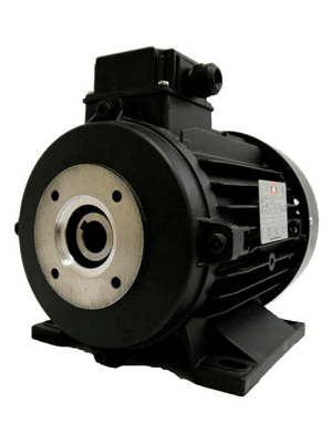 Electrics Motors Europe. 4,0 кВт, 3 фазы (полый вал)1450 об/мин (EME)