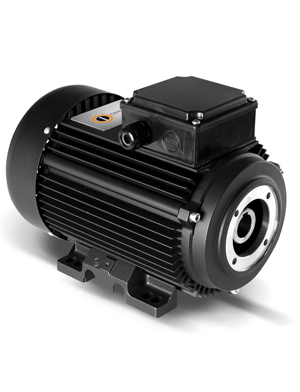 Electrics Motors Europe. 6,3 кВт, 3 фазы (п/вал)1450 об/мин